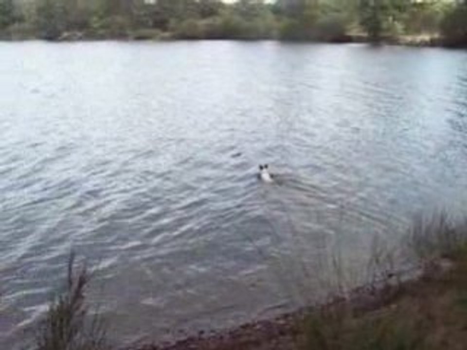 promenade a l'etang de peronne