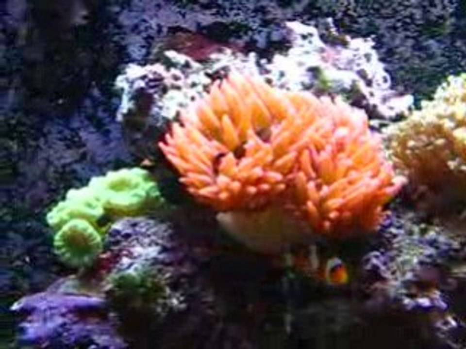 MVI_0957
