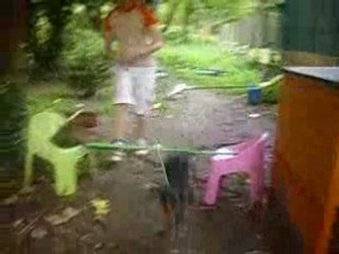 ma tite chienne de 4 mois