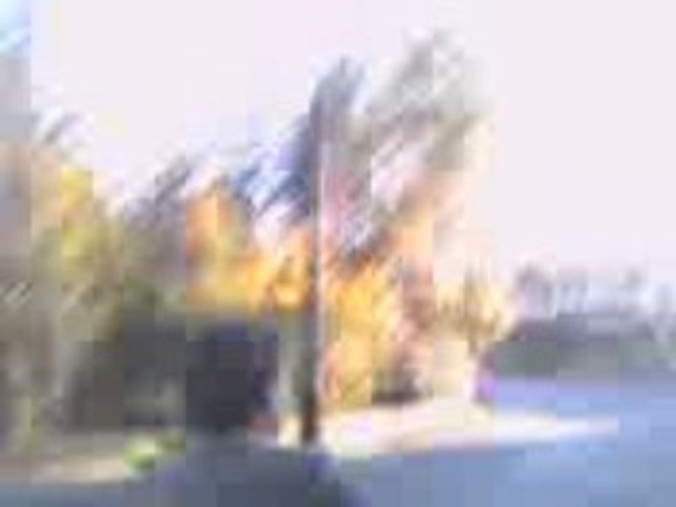 Casse de pot de fleure