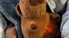 Calming Koala Sleep Buddy Rhythmic Breathing, Soft Music & Glow
