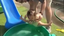 SplashEZ Dog Splash Pad,