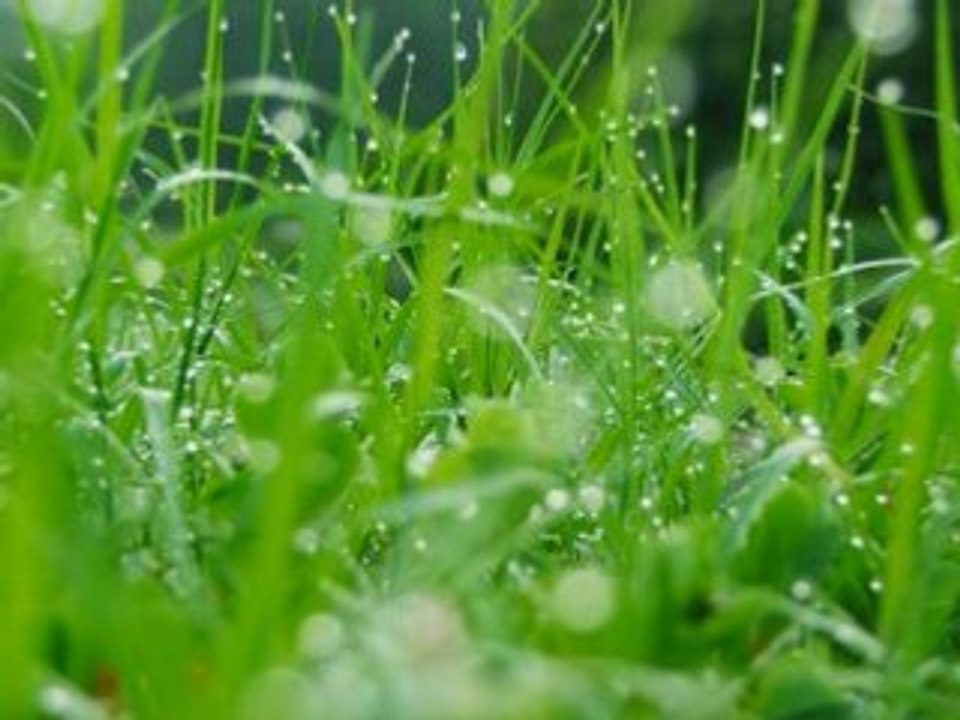 William Orbit 'Barbers Adagio For Strings'