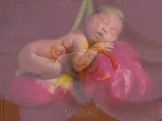 Bébés d'Anne Geddes