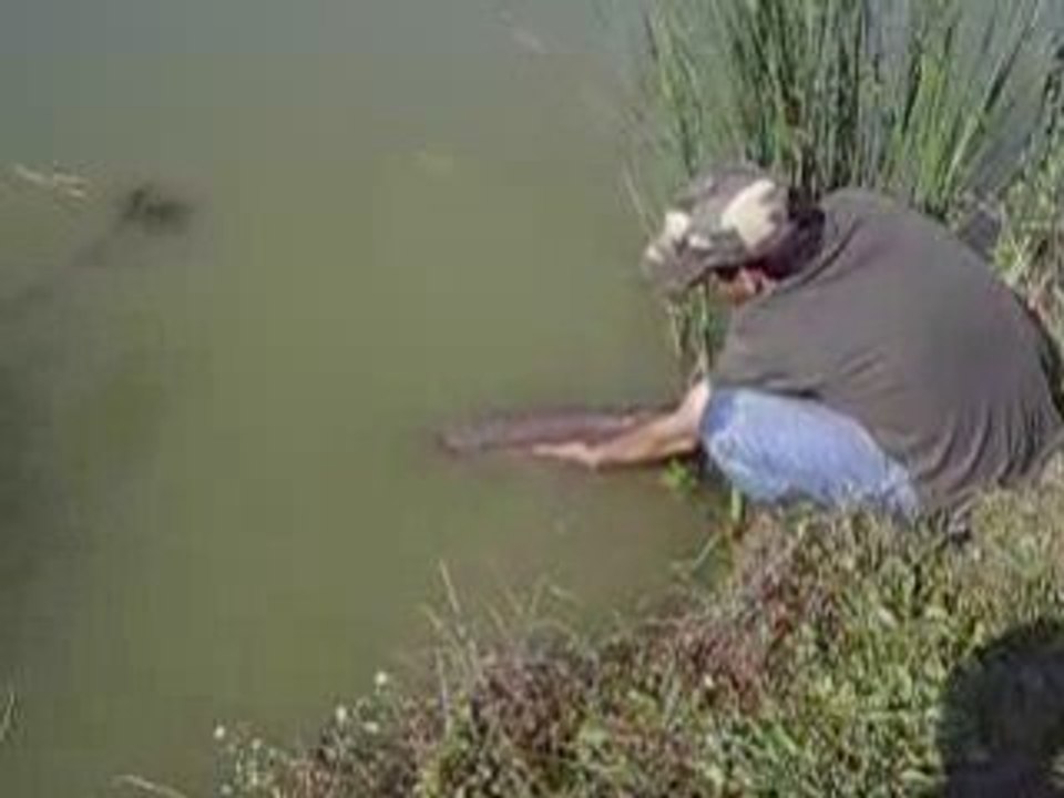 remise a l'eau esturgeon 8kg our 1 mètre dans l'ain