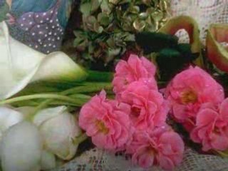 Viki - Sanjala sam ruzan san