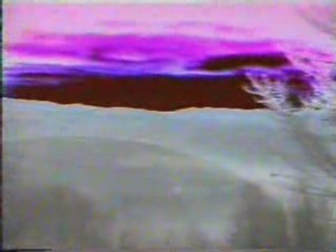 Vesna Zmijanac - Sto zivota