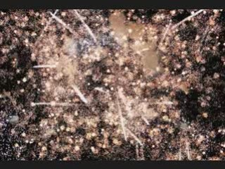 LE FEU D'ARTIFICE   PASCALE ANGE-JMF