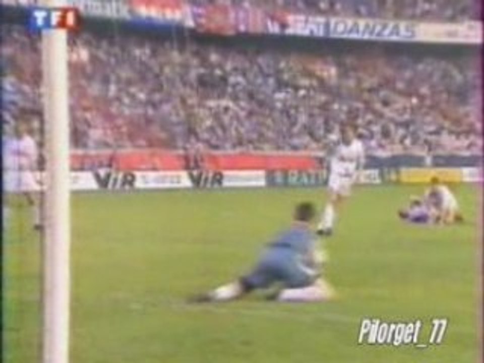 résumé du sacre contre toulouse en 1994