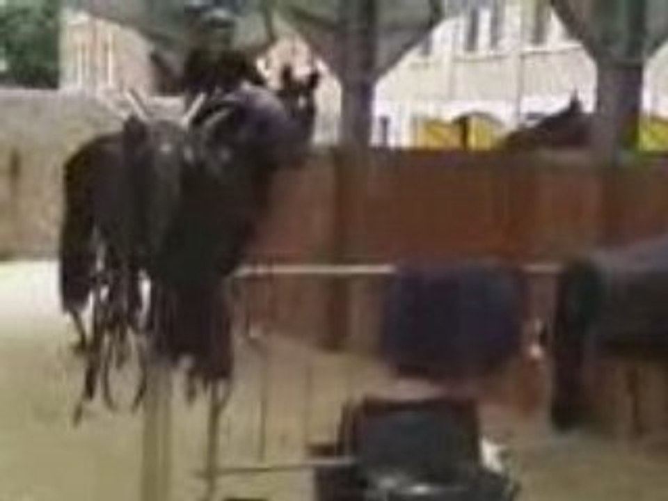 Vidéo0059