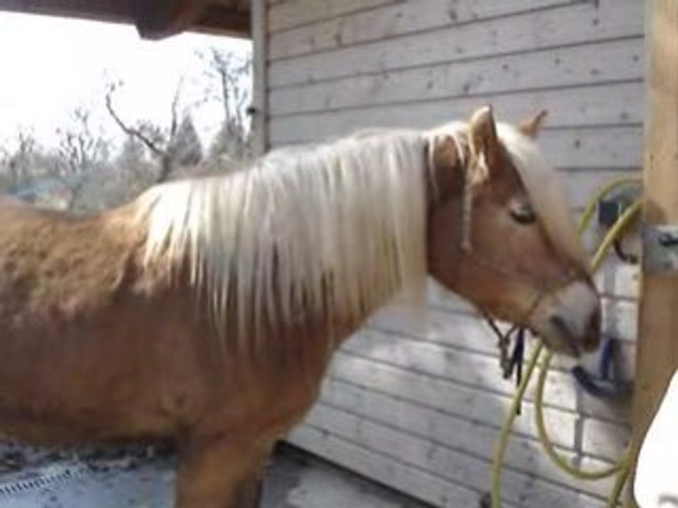 Vidéo Zora 05 08 dalle douche