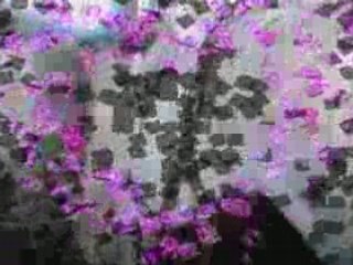 Video de mon ti t'ange