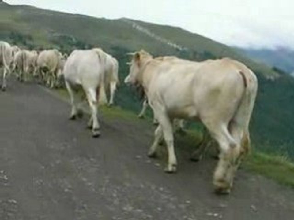 gr10 Vers le col de kurutche