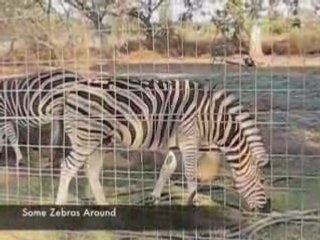 GetAway Farm - Gauteng, South Africa