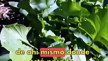 La habilidad básica que no nos enseñaron en la escuela