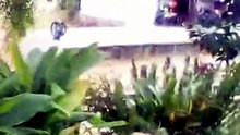 A Rumo inteira no km13 fazendo aula