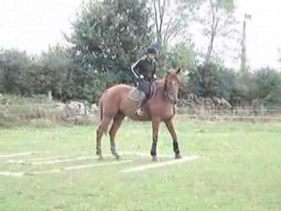 MOV00826