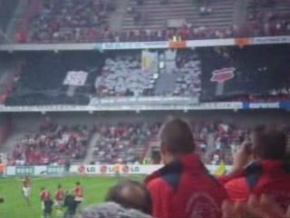 Standard-westerlo