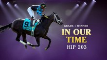 Fasig-Tipton: In Our Time