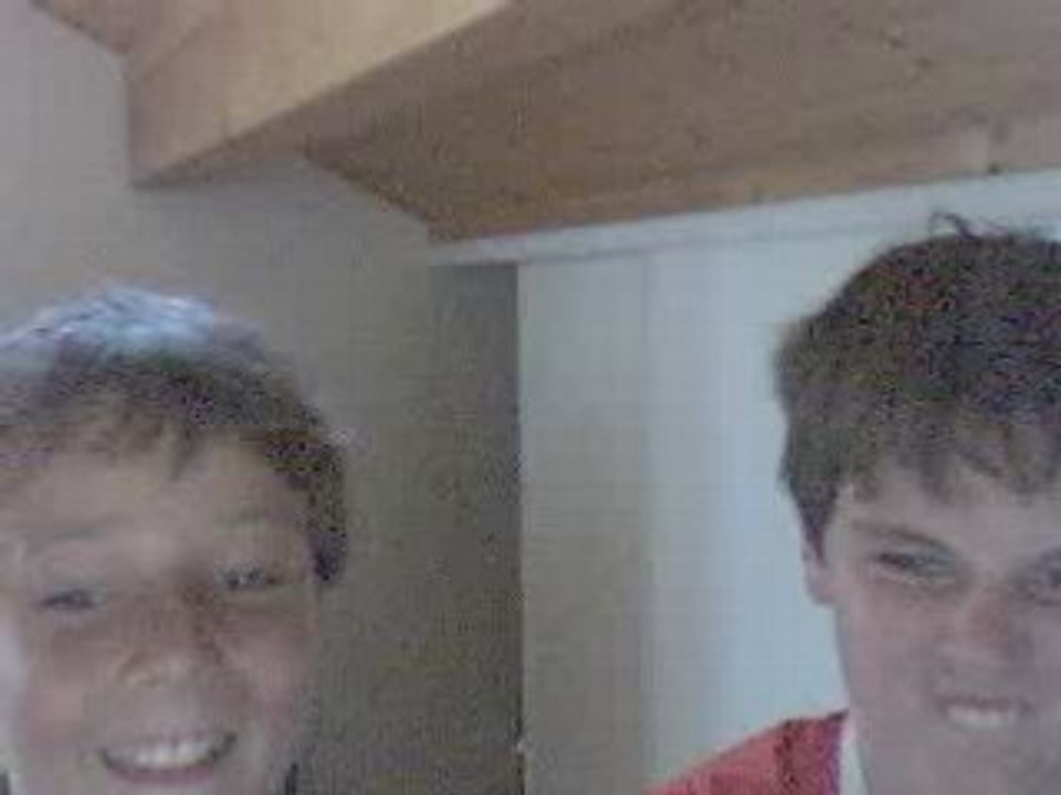 les ptis lapin