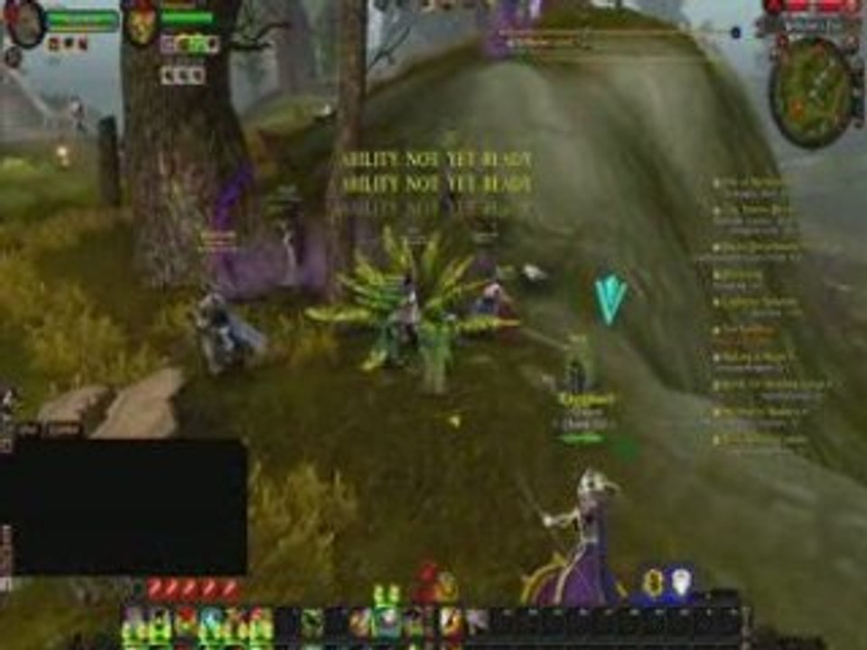 Warhammer online beta RvR Shaman