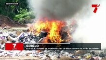 Djiglo : plus de 8,3 tonnes de stupéfiants et de médicaments falsifiés incinérés