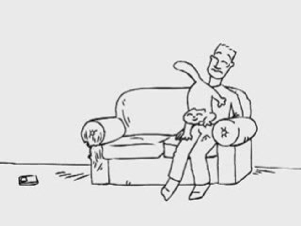 Le chat de simon