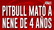 Pitbull mató a nene de 4 años. Detuvieron a la madrina