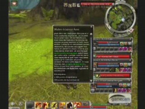 GuildWars hfff Moin de 1 minutes