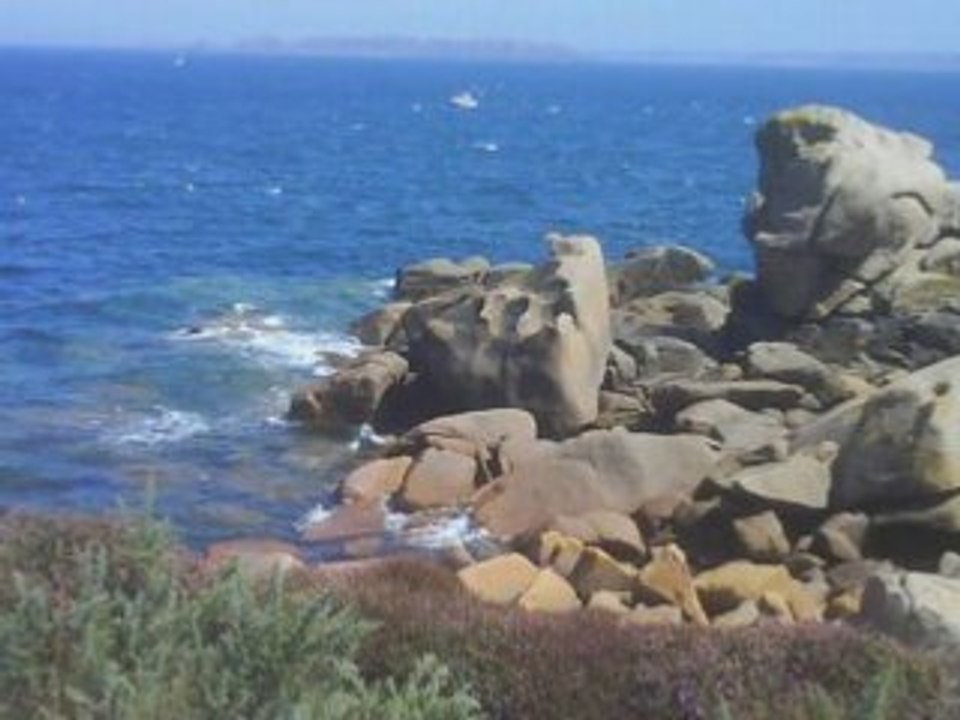Video granite rose