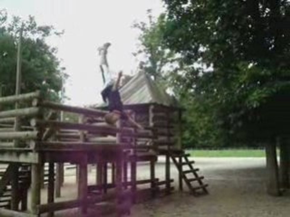 [Parkour araña & toro en Lisses]