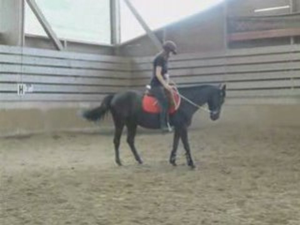 nouveaux exercices