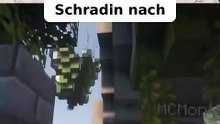 Trymacs macht Schradin nach