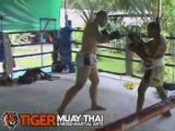 Muay Siam Trainer of the Month trains UFC vet Alan Belcher