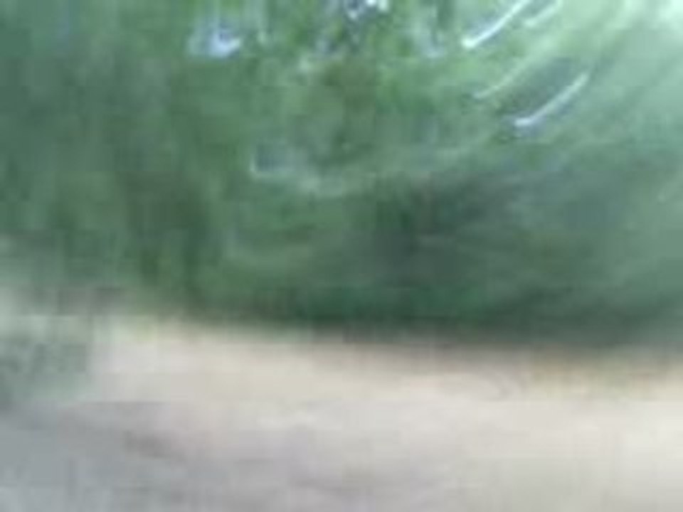 Pomme - Galop - 20 Aout 08