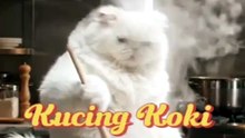 Kucing koki mencuri Sosis didapur masak