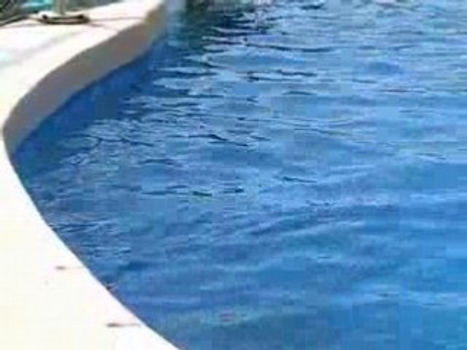 200808 - été 2008 464