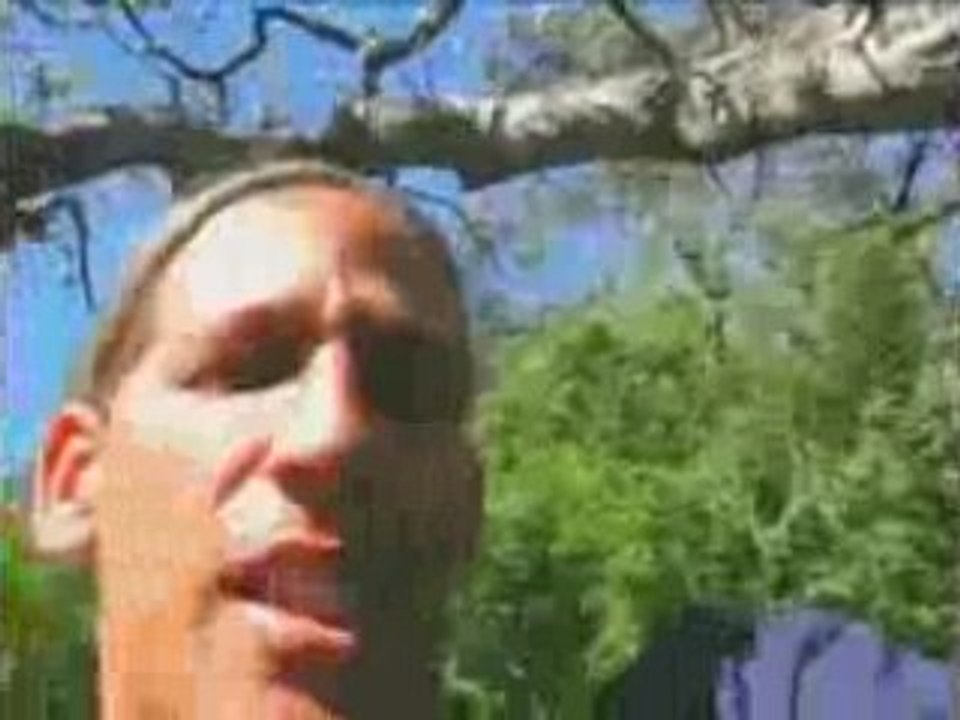 Wing Nuts Canopy Tours 2 - Samara Beach, Costa Rica