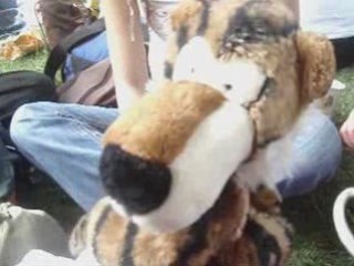 C'est la vie -Vacances 2008-