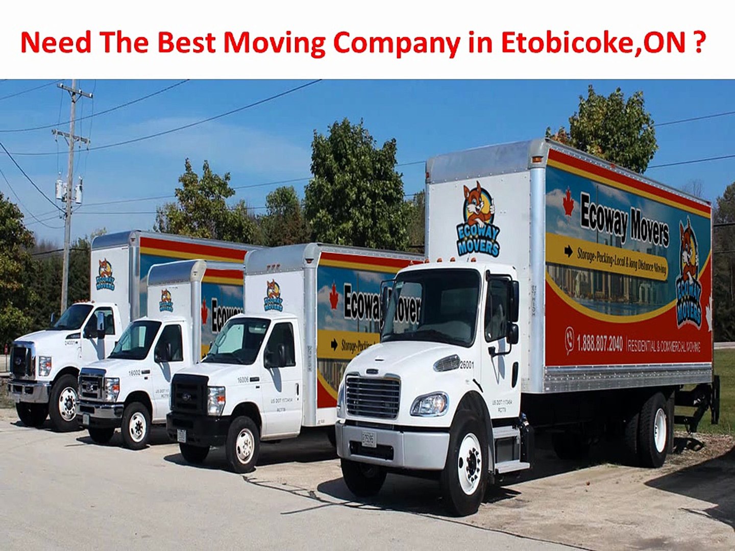 Ecoway Movers : #1 Moving Company in Etobicoke, ON | M8Z 2R4