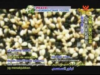 HEALTHY LIVING-Open Sesame! Secrets of the Seed