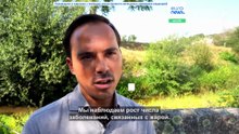 Больше парков и зеленых зон: португальский Гимарайнш готовится к экстремальной жаре