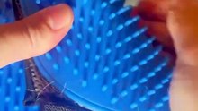The Pet Hair Removal Glove That Ends Shedding for Good