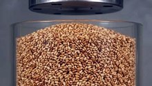 Hydraulic Press Extracts Oil From Sunflower Seeds 🌻 | Food ASMR