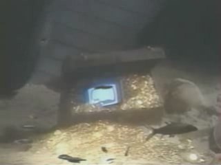 Téléchat 1er générique