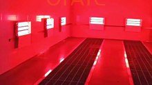 Half White Coated Infrared Heating Lamp Quartz Halogen Heater Tube with High Heat Reflection