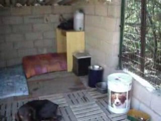 verra et channon a doberland