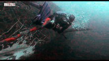 Whalefall | Tv Spot: Deadly