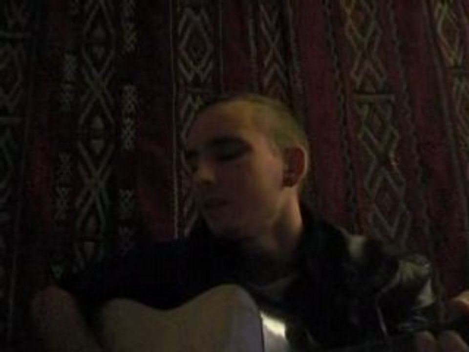 cocoon-hummingbird cover