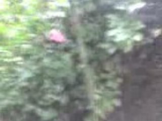 LE JARDINIER QUI GLANDE TOUJOURS